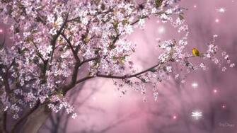 Spring Flowers And Birds Wallpaper Original