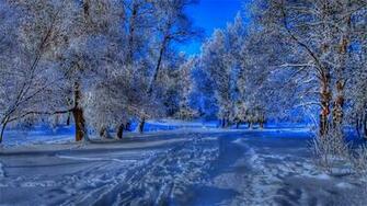 Beautiful Winter Background