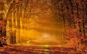 Autumn Image Wallpaper Photos