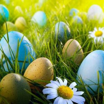 Easter Egg Hunt iPad Air Wallpaper iPhone
