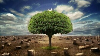 Tree Nature 3d Pictures HD Wallpaper Of