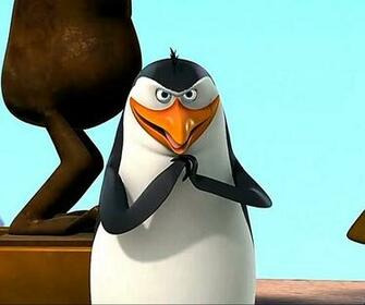 The Penguins Of Madagascar Rico Cartoon HD Wallpaper For iPad