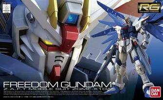 Box Art Rg Zgmf X10a Dom Gundam New Wallpaper Size