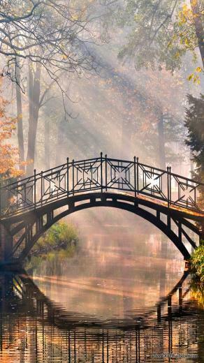 iPhone Wallpaper Mystical Bridge HD