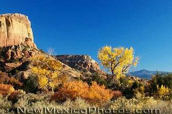 Fall Foliage Enhances An Already Spectacular From Beneath Kitchen