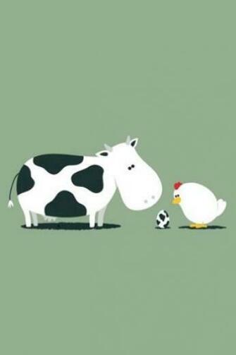 Funny Wallpaper For Ipod Pictures