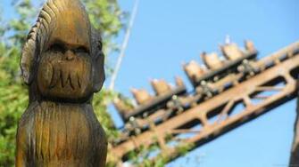 Disney Wallpaper Animal Kingdom