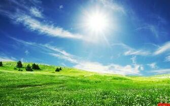 Green Field Nature HD Wallpaper E Entertainment
