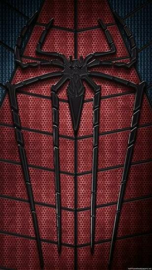Spiderman iPhone Wallpaper HD Image