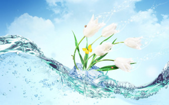 Water Wallpaper HD