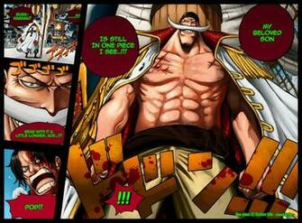 One Piece Whitebeard Portgas D Ace Freckles Pirates
