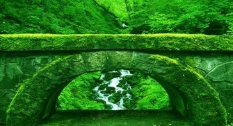 Most Beautiful Forest Wallpaper The Art Mad