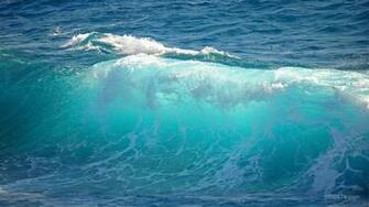 Happy Water Week Everyone In Honor Of The Un S World