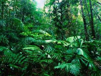 Amazon Development And Climate Impacts