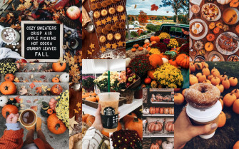 Thanksgiving iPhone Wallpaper Fall Background Apple Picking