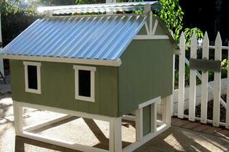 The Smart Chicken Coop Up To Chickens From My Pet