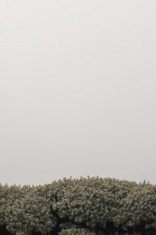 Minimalist iPhone Pictures Image