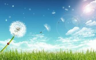 Wind Wallpaper
