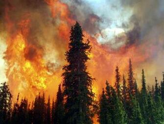 Wallpaper Photo For The Wildland Firefighter
