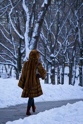 Winter Fur Traveler Photo Contest National Geographic