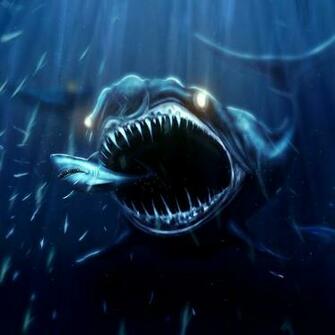 Amazing Shark Attack Okay Wallpaper