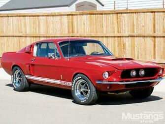 Ford Shelby Gt500 Photo