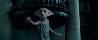 Top Dobby Wallpaper