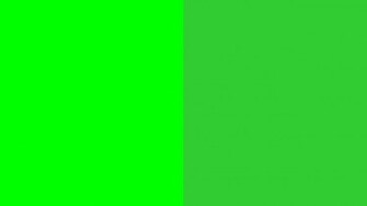 Resolution Lime Web Green And Solid Two Color Background