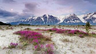 Moonrise Background Desktop Alaska Background Elias Mountains