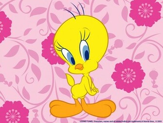 Bird Wallpaper Tweety Photo Gallery Picture