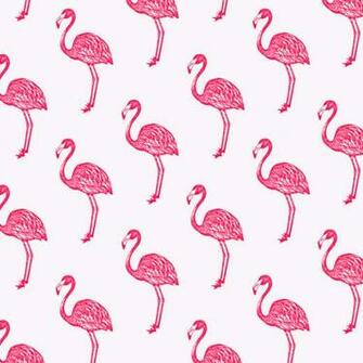 Back Imgs For Flamingo Print