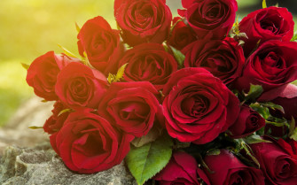 Bouquet Flower Nature Rose HD Wallpaper