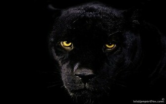 Love Quotes Black Panther Wallpaper
