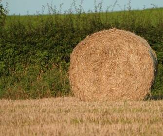 Hay Bale Photos Wallpaper Desktop Background