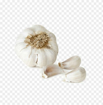 Garlic Png File Image Background Toppng