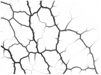 Background Subtracted Image Of A Part Vein Network Formed By