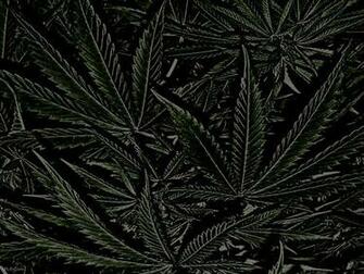 Weed Background For