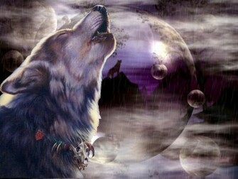 Howling Wolf Wallpaper HD In Animals Imageci