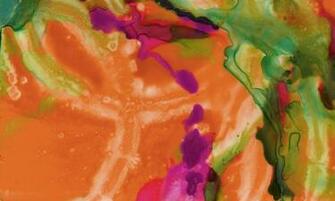 Black Crow Studios Watercolor Wallpaper Frame It Freakin Awesome
