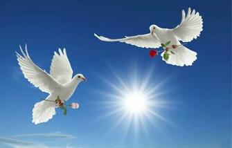 World Peace Wallpaper