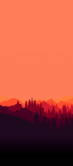Wallpaper