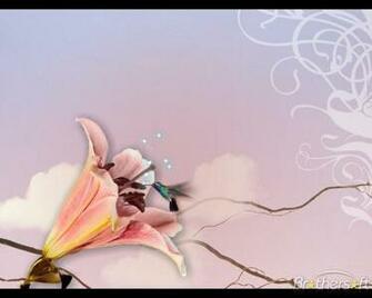 A Hummingbird Moment