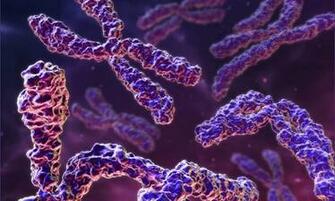 Molecular Biology Wallpaper HD On Picsfair