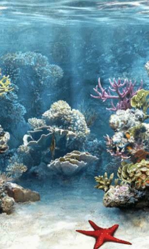 Bigger Water Live Wallpaper For Android Screenshot