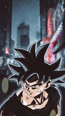 Dragonball Universe