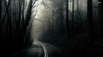 Dark Woods Into The Darkness On Road Trees Wood