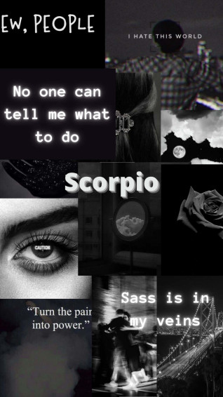 Aesthetic Astrology Wallpaper