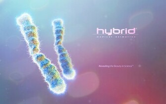 Hybrid Medical Animation Desktop Wallpaper