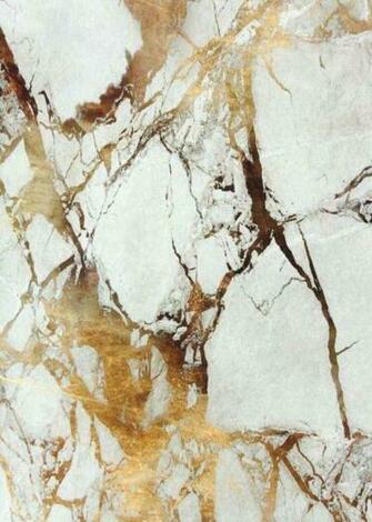White Gold Marble Marbre Blanc Et Dor New Loungeroom