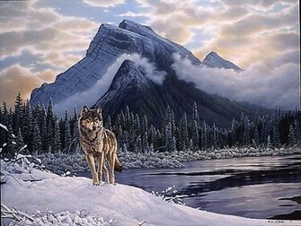Canadese Lone Wolf Wallpaper